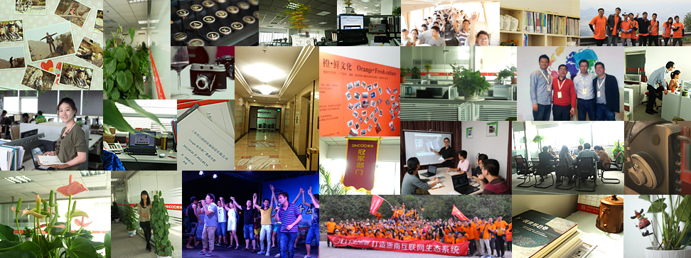 ��˾����